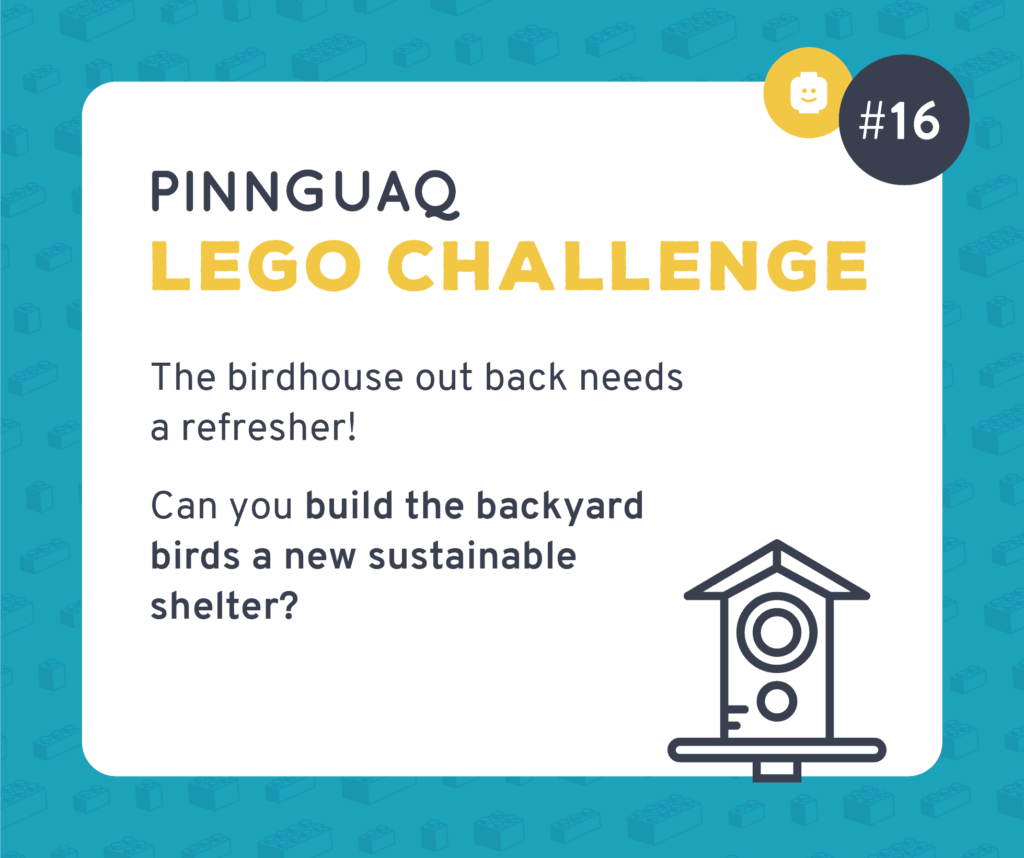Pinnguaq's K–3 Lego Challenge #16 card.