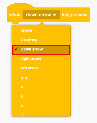 Code block drop down.