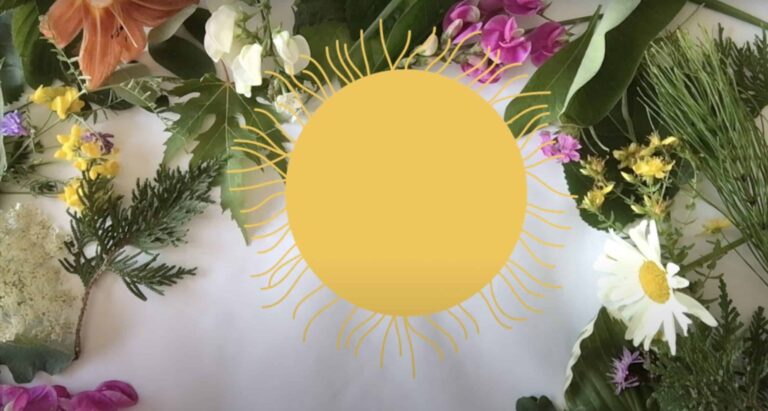 A screenshot from the Symmetry in Nature video.