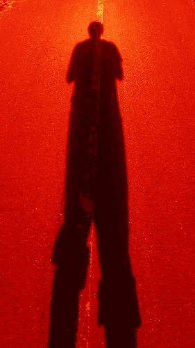 A photo of a shadow on pavement.